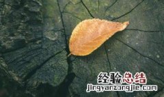 三十岁经典语录朋友圈 三十岁经典语录