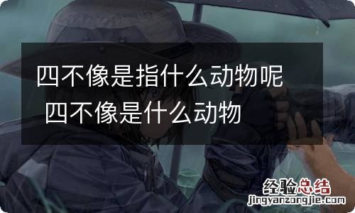 四不像是指什么动物呢 四不像是什么动物