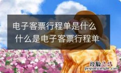 电子客票行程单是什么 什么是电子客票行程单