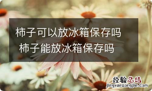 柿子可以放冰箱保存吗 柿子能放冰箱保存吗