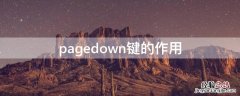 pagedown键的作用 pagedown键属于哪个键区