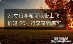 20寸行李箱可以带上飞机吗 20寸行李箱到底可以带上飞机吗