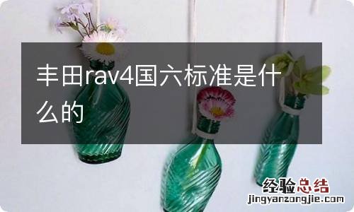 丰田rav4国六标准是什么的