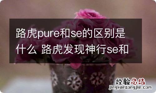 路虎pure和se的区别是什么 路虎发现神行se和pure区别