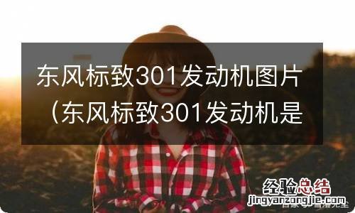 东风标致301发动机是什么牌子的 东风标致301发动机图片