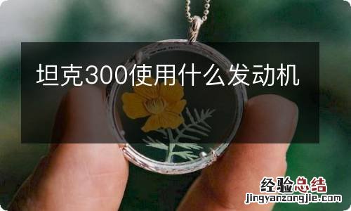 坦克300使用什么发动机