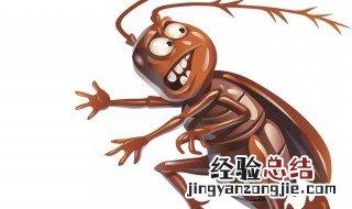 怎么对付蟑螂 怎么对付蟑螂效果好 又健康
