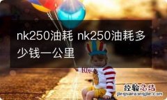 nk250油耗 nk250油耗多少钱一公里