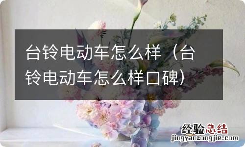 台铃电动车怎么样口碑 台铃电动车怎么样