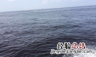 东京湾海水为什么脏 海东京湾水非常脏的原因