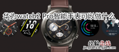 华为watch2 Pro智能手表可以做什么