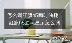 怎么调红旗h5瞬时油耗 红旗h5油耗显示怎么调