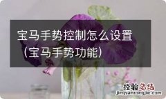 宝马手势功能 宝马手势控制怎么设置