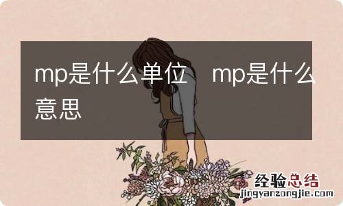 mp是什么单位	mp是什么意思