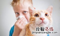 发猫照片朋友圈配文字 发猫照片朋友圈配文字推荐