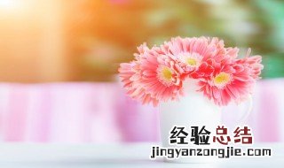 瓶插花如何保鲜 花瓶插花技巧怎么保存花不死