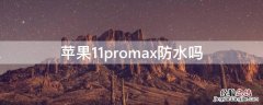 iPhone11promax防水吗 iphone11pro max可以防水吗