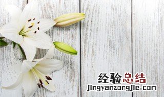 生孩子送什么花 朋友生了孩子应该送什么花