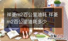 祥菱m2百公里油耗 祥菱m2百公里油耗多少