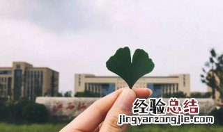 最新撩人的情话短句 最新撩人的情话短句霸气