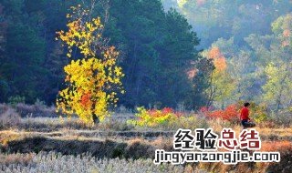 经历酸甜苦辣的句子 经历酸甜苦辣的句子有哪些