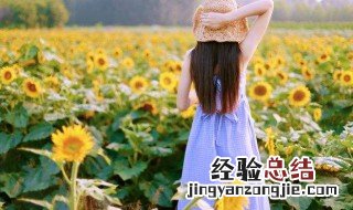 表达吃喝玩乐的句子 关于吃喝玩乐的经典语句