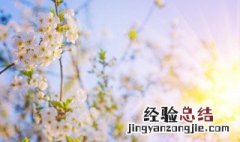 大病初愈发朋友圈 大病初愈发朋友圈精选