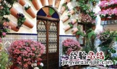 适合庭院种植的花树 这些都很漂亮