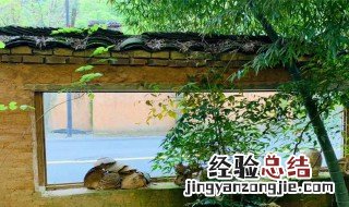 带安然的一句唯美句子 带安然的一句优美语句