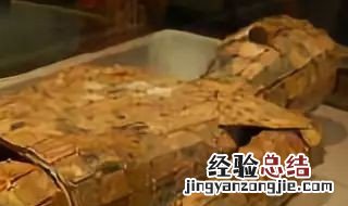 金缕玉衣出土在哪里 河南金缕玉衣出土在哪里