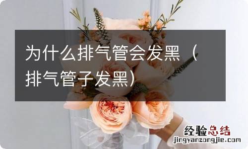 排气管子发黑 为什么排气管会发黑