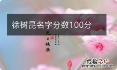 徐树昆名字分数100分