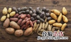 冬天储存什么菜 冬天储存什么菜好