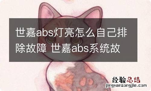 世嘉abs灯亮怎么自己排除故障 世嘉abs系统故障怎么处理