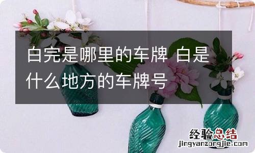 白完是哪里的车牌 白是什么地方的车牌号