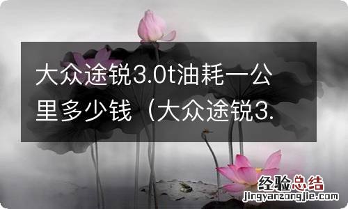 大众途锐3.6油耗多少 大众途锐3.0t油耗一公里多少钱