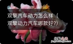 双擎动力汽车哪款好? 双擎汽车动力怎么样