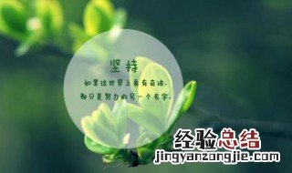 有关坚持的优美句子 关于坚持努力唯美句子