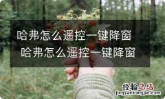 哈弗怎么遥控一键降窗 哈弗怎么遥控一键降窗功能