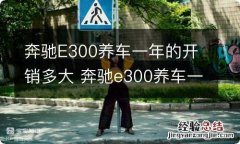 奔驰E300养车一年的开销多大 奔驰e300养车一年的开销多大正常