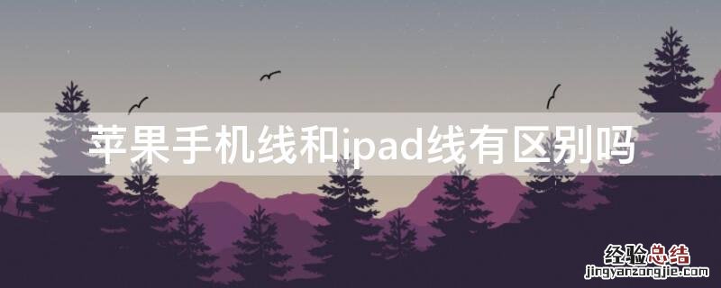 iPhone手机线和ipad线有区别吗