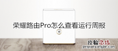 荣耀路由Pro怎么查看运行周报