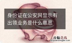 身份证在公安网显示有出领业务是什么意思