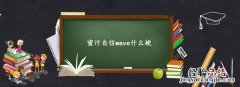 蜜汁自信wave什么梗