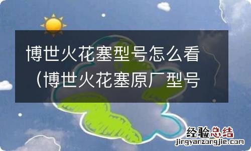 博世火花塞原厂型号对照表 博世火花塞型号怎么看