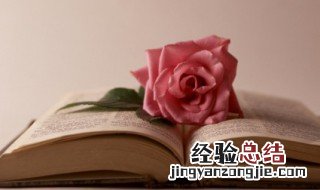 追女生直接表白 追女生直接表白从未失败过