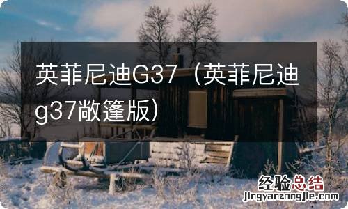 英菲尼迪g37敞篷版 英菲尼迪G37