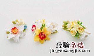 白色胸花有什么忌讳? 白色胸花代表什么