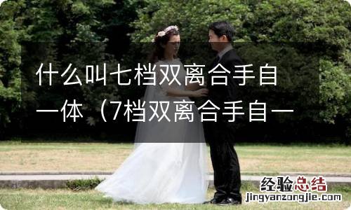 7档双离合手自一体 什么叫七档双离合手自一体