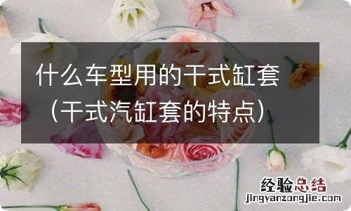 干式汽缸套的特点 什么车型用的干式缸套